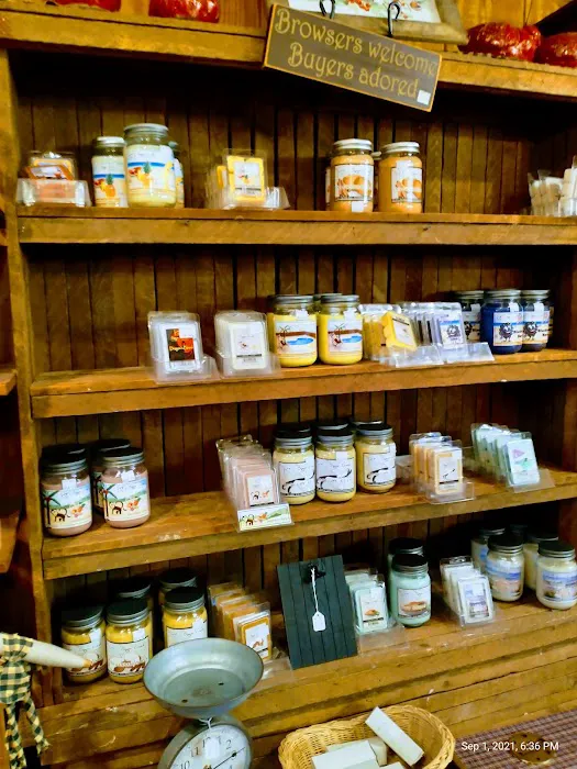 Country Custard Cottage Picture 10