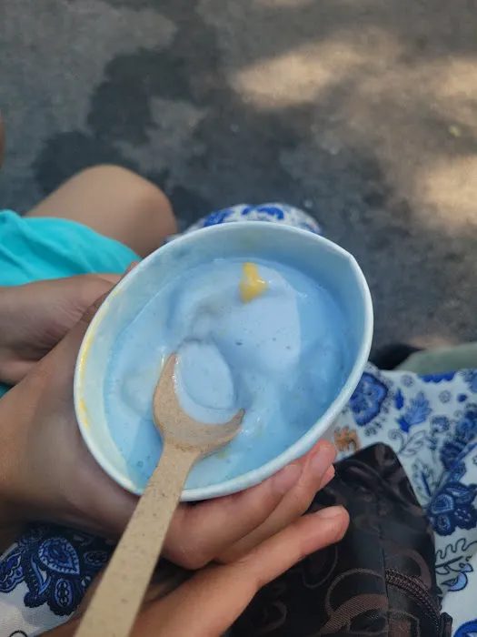 Millie's Homemade Ice Cream Picture 5