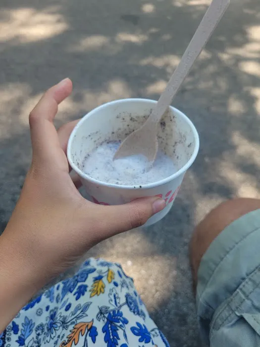 Millie's Homemade Ice Cream Picture 3