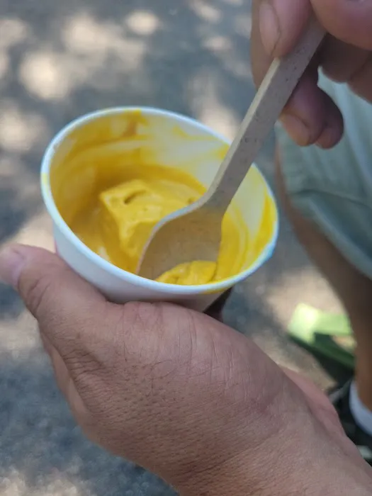 Millie's Homemade Ice Cream Picture 2