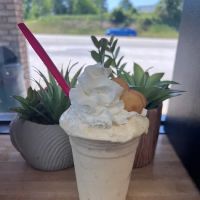 Igloo Ice Cream LLC ico