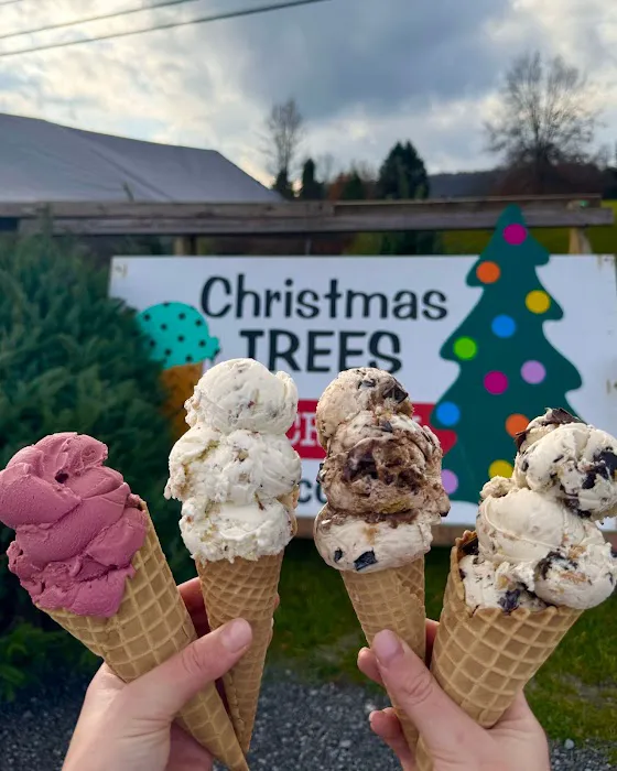 Emmerling Ice Cream Picture 8