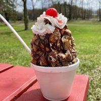 The Taste-T-Freeze ico