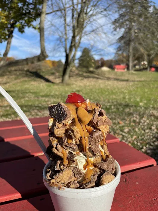 The Taste-T-Freeze Picture 5