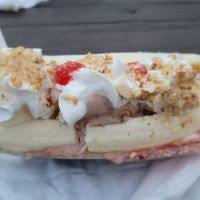 Polly's Ice Cream ico