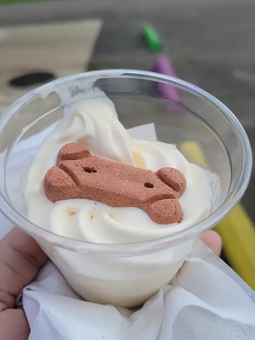 Polly's Ice Cream Picture 3