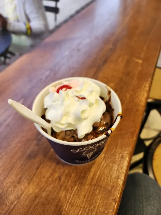 Scoops In Bloomfield Picture 9