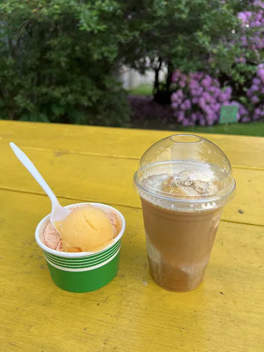 LaScola's Italian Ice & Custard Picture 1