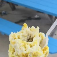 Max's Sugar Shack Shaved Ice ico