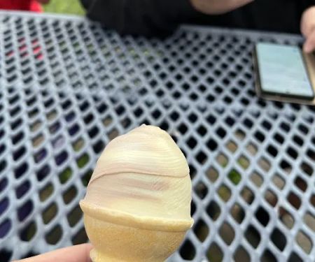 Dell's Sundae Grill