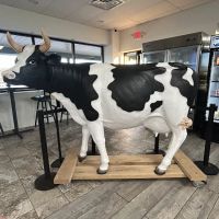 Meadows of Latrobe ico
