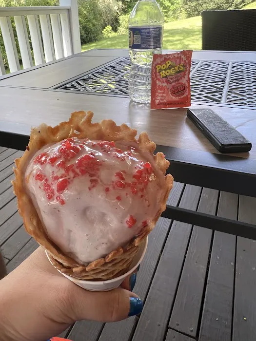 Millie's Homemade Ice Cream Picture 9