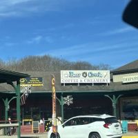 Bear Creek Coffee & Creamery ico