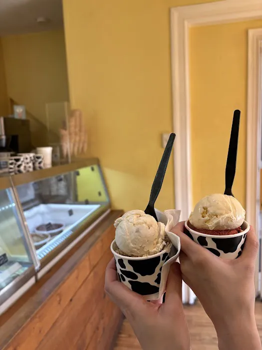 Treat - Ice Cream and Liege Waffles Picture 1