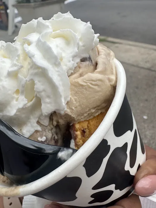 Treat - Ice Cream and Liege Waffles Picture 6