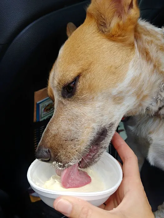 Glen's Frozen Custard Picture 1