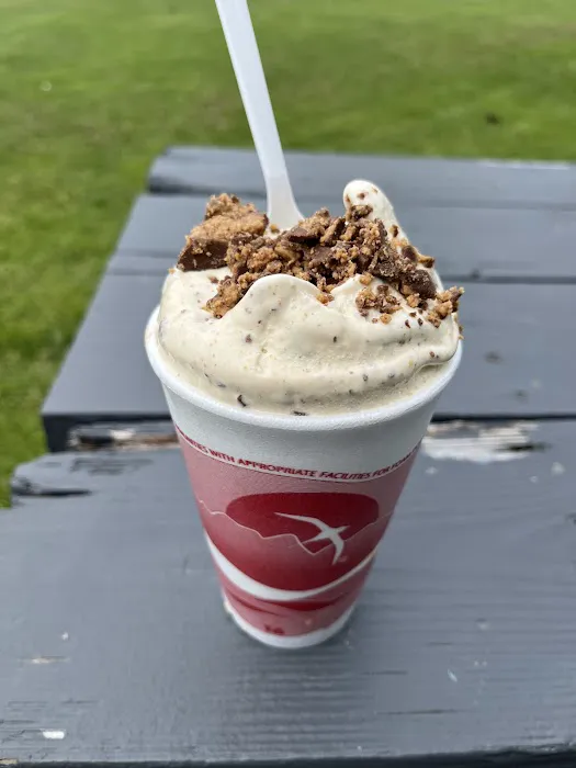 Sweet Delights Ice Cream Picture 3