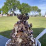 Sweet Delights Ice Cream