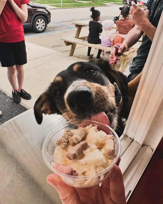 Scoops on Jackson Picture 10