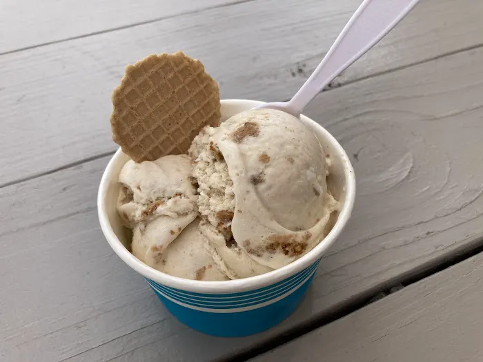 Sallie's Small Batch Ice Creams Picture 6