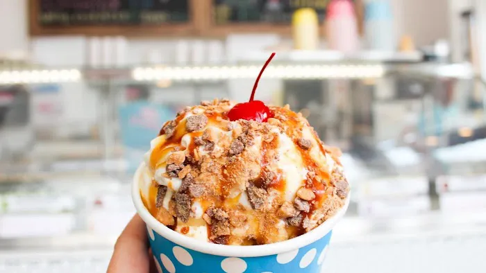 Hoggy's Ice Cream Picture 7