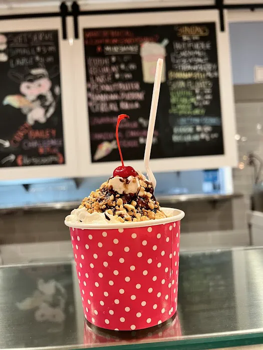 Lazy Cow Creamery & Sweets Picture 5