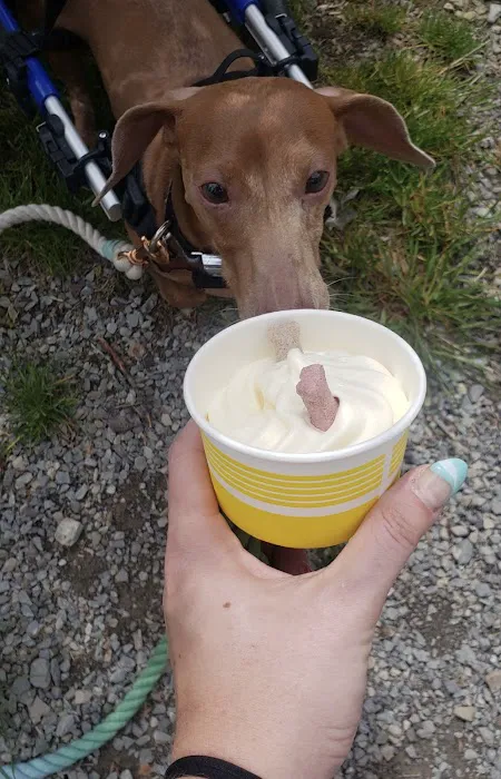 Griff’s Italian Ice & Soft Serve Picture 6