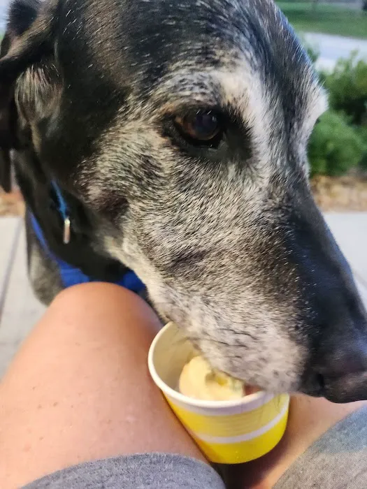 Griff’s Italian Ice & Soft Serve Picture 4