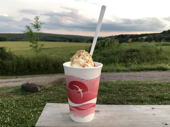 Katie's Ice Cream Picture 10