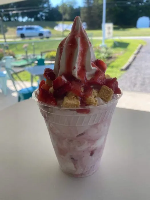 Home Made Ice Cream Co Picture 4