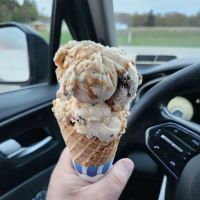 Lucky Duck Creamery ico