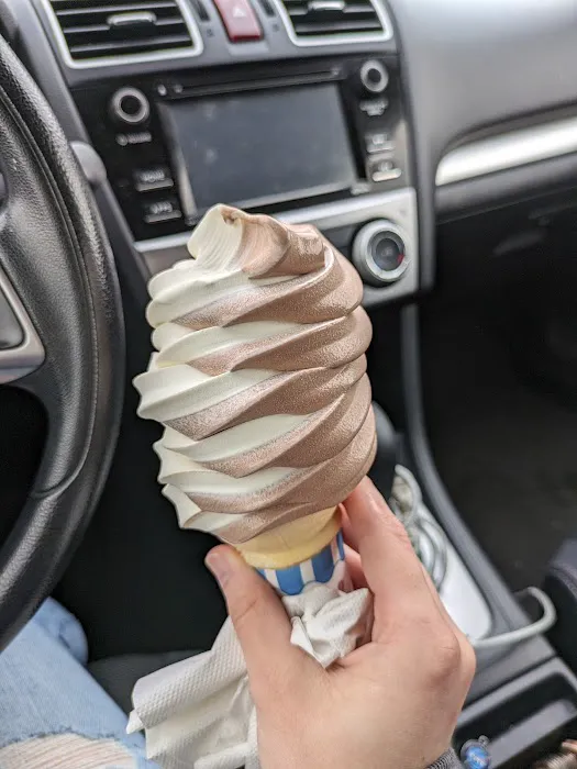 Lucky Duck Creamery Picture 2