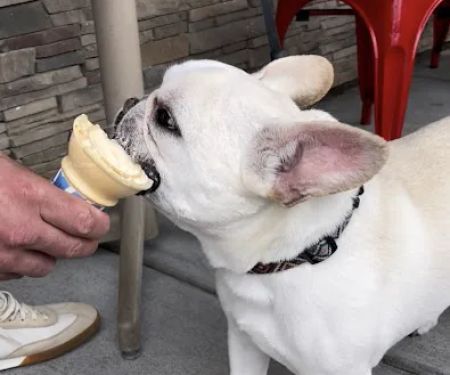 Panos Ice Cream Cafe