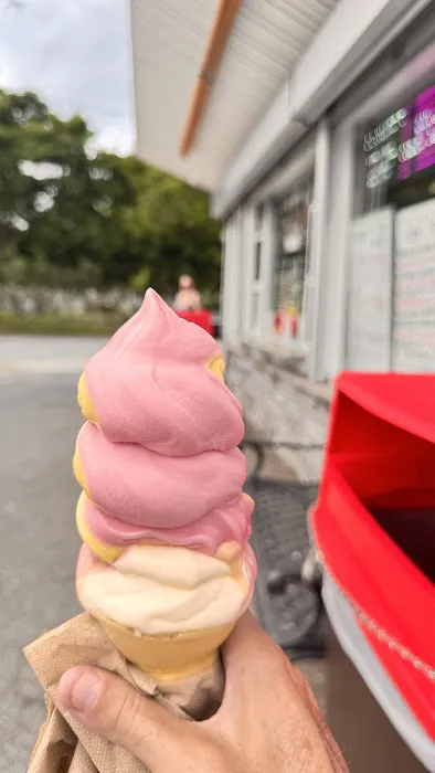 Whippy Dip Picture 2