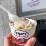 The Ice Cream Shoppe