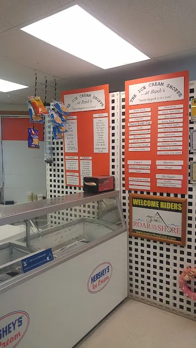 The Ice Cream Shoppe Picture 9