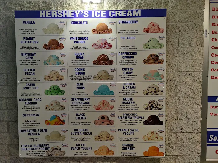 The Ice Cream Shoppe Picture 6
