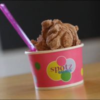 Spotz Gelato ico