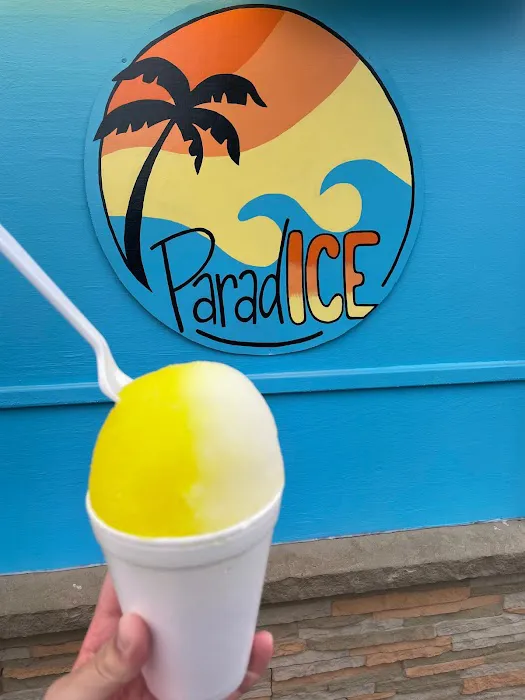 ParadICE LLC Picture 5