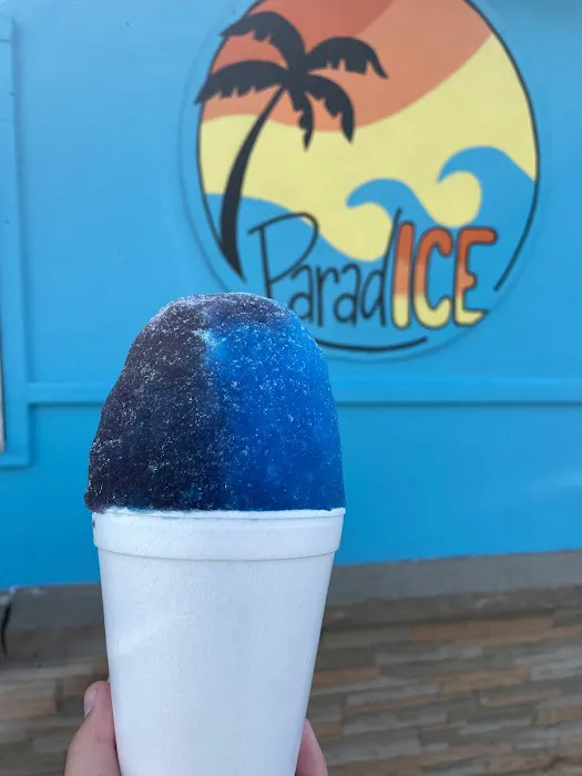 ParadICE LLC Picture 4