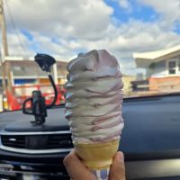 Toni's Ice Cream ico
