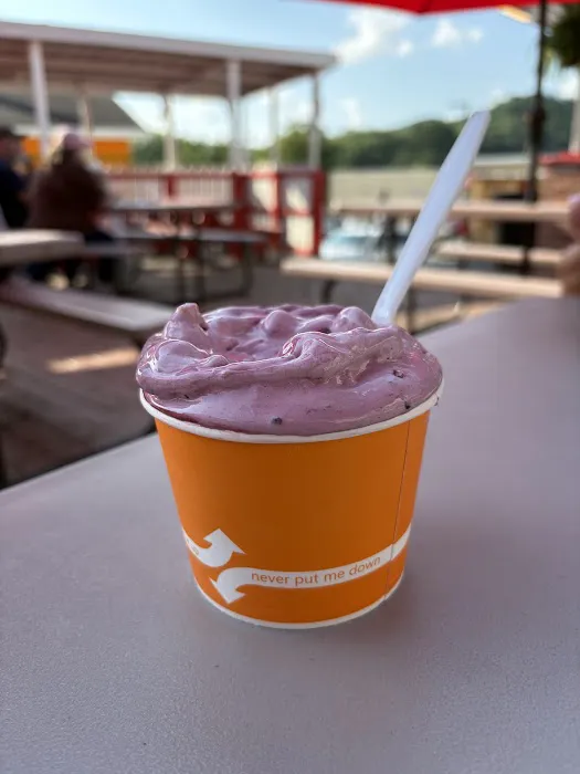 Toni's Ice Cream Picture 5