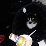 Krause's Soft Freeze