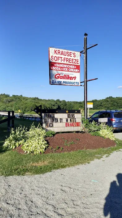 Krause's Soft Freeze Picture 7