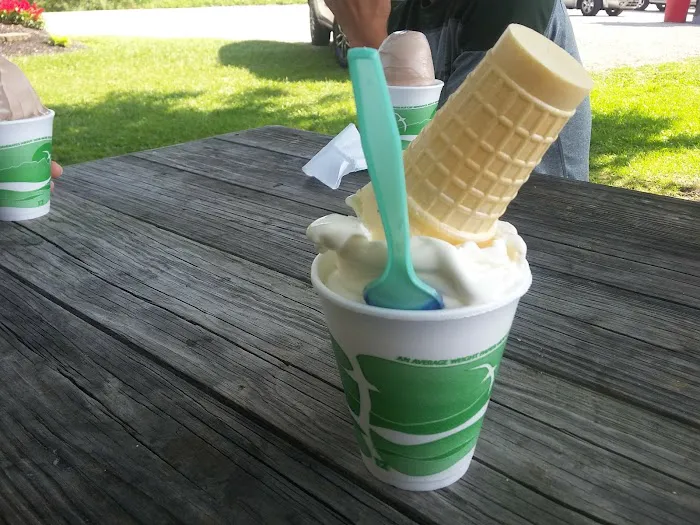Krause's Soft Freeze Picture 5