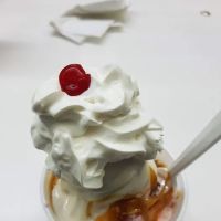Page's Ice Cream of West Virginia ico