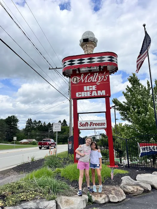 Molly's Ice Cream Picture 3