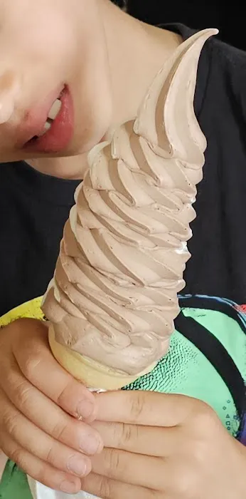 The Ice Cream Shop Picture 6