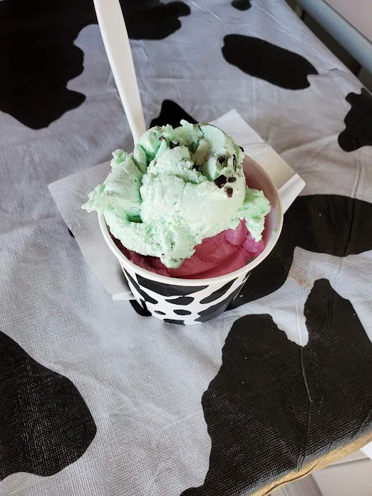 The Ice Cream Shop Picture 4