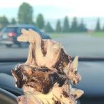 The Meadows Original Frozen Custard